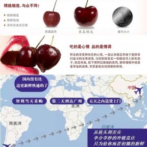 南半球車?yán)遄诱?dāng)季？智利種植商對(duì)國(guó)內(nèi)傳聞啼笑皆非